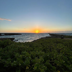 Meet your Posher, Laakea